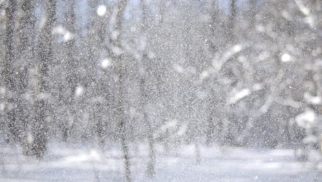 winter landscape during snowfall. winter christmas abstract background on super slow motion.