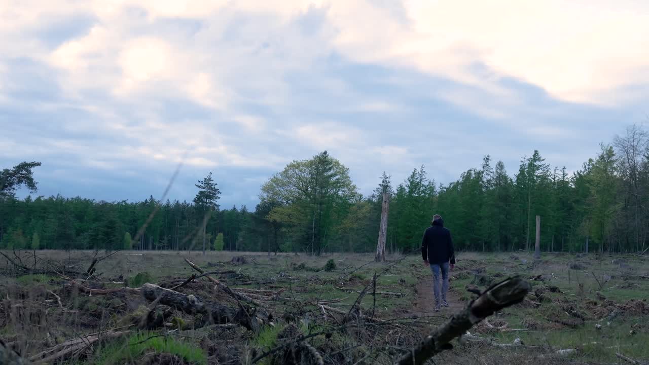 Walking through a forest clearing on a cloudy day
