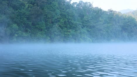 foggy river with lush green forest