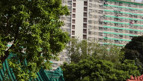 trees and buildings in hong kong cityscape