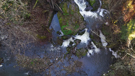 Río-Calmante-Que-Fluye-En-Un-Video-Cinematográfico-Forestal-En-El-Noroeste-Pacífico-De-América