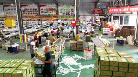 busy fruit and vegetable packing factory in china
