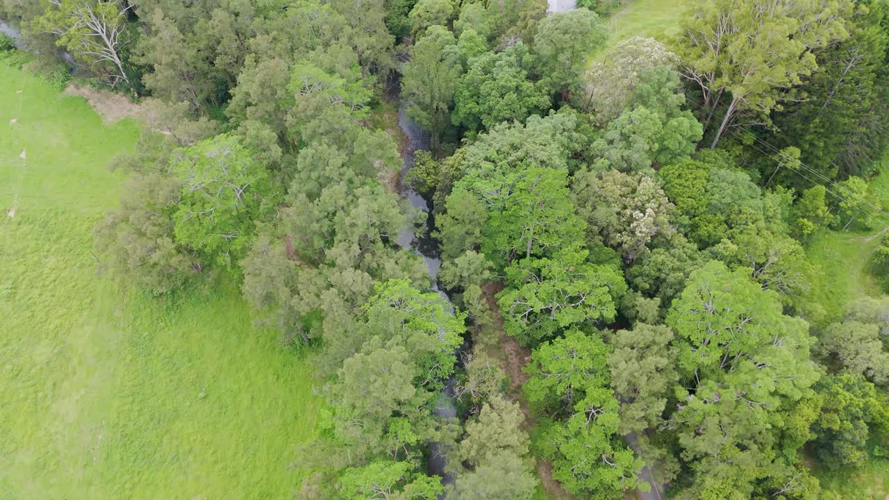 Drone footage captures vibrant greenery and winding paths in Tullebudgera, Gold Coast. Bright daylight enhances the serene landscape
