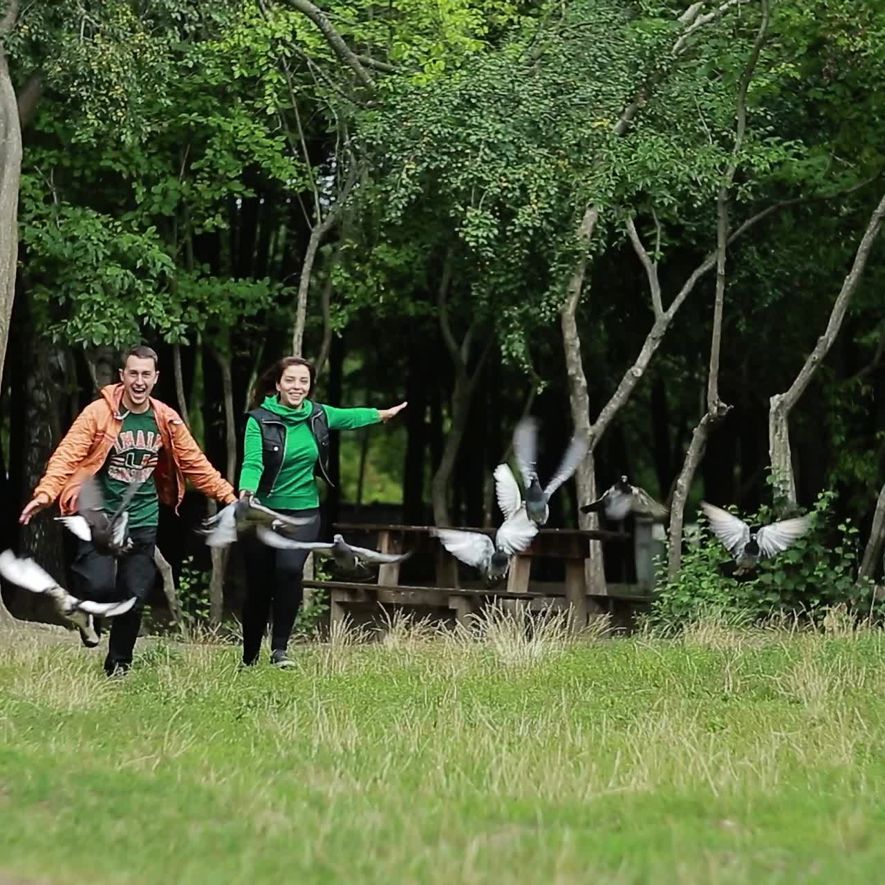 Couple Dispersing Flock Of Pigeons