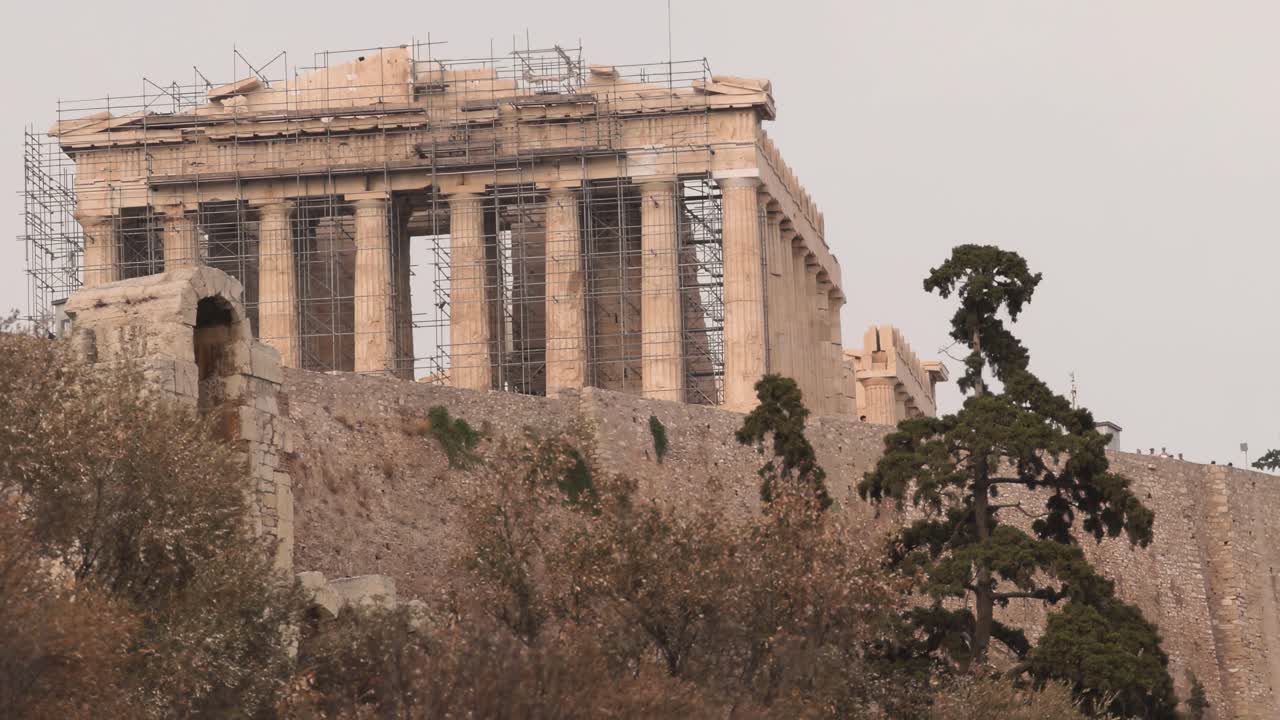 A detailed view of the Parthenon's facade with a bird flying over surrounding trees.