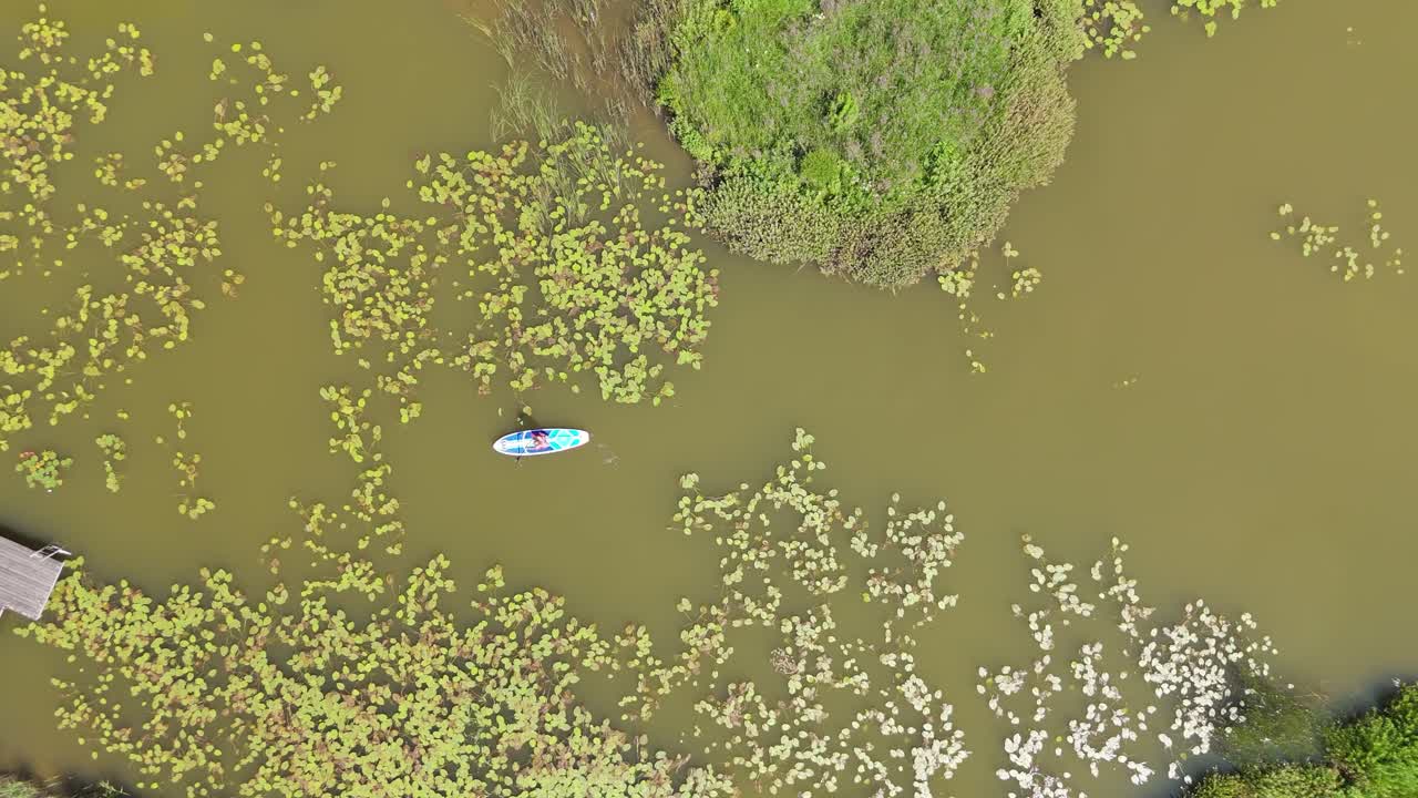 Flying Above Young Woman Stand Up Paddling on Sup Board on Pond in Summer