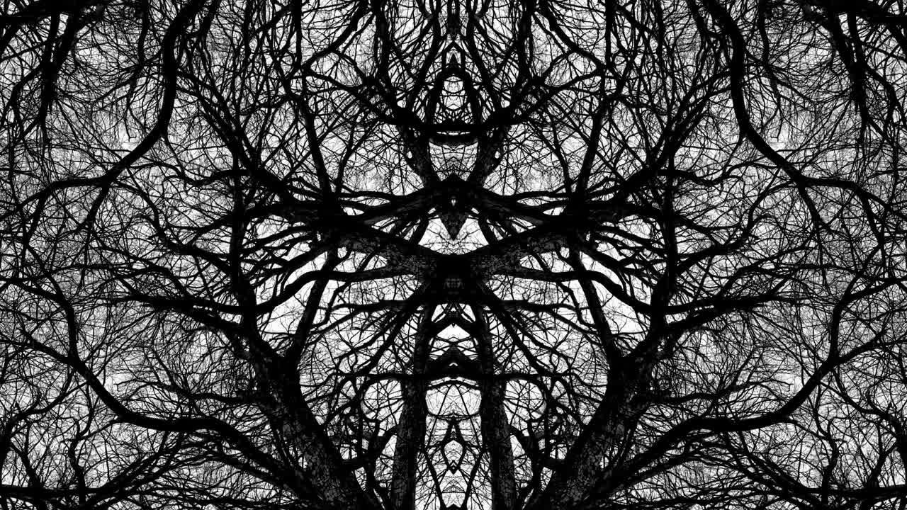 árboles en simetría - en bucle