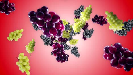 el fondo de las uvas que caen, el bucle, la representación, la animación, con el canal alfa