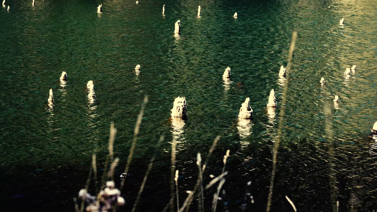 루마니아의 붉은 호수에서 바람이 부는 날의 안정적인 샷