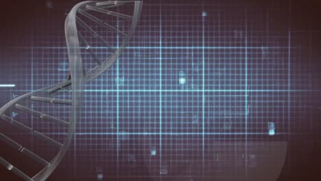 DNA-helix-rotating-and-heartbeat-line