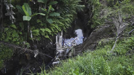 Plano-General-De-Un-Pequeño-Río-Lleno-De-Basura-Debajo-De-Las-Terrazas-De-Arroz-Tegalalang-De-Ubud,-Indonesia