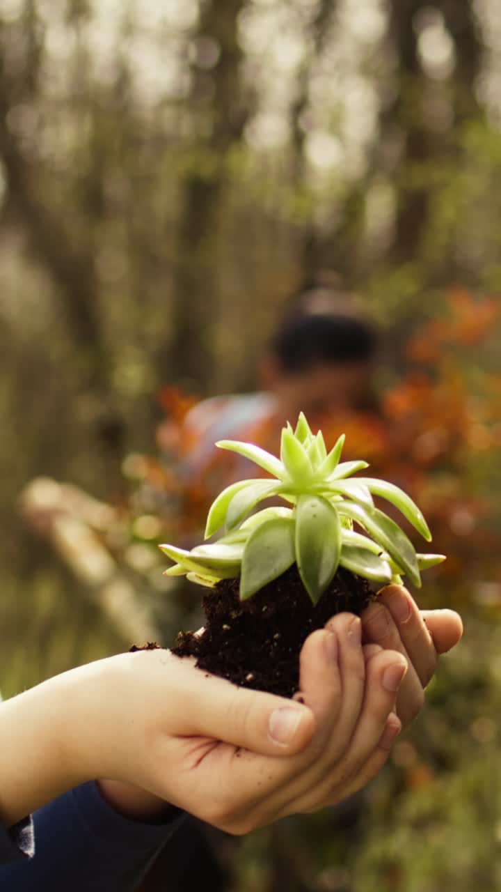 Primo piano di mani che tengono una piccola pianta verde con del terriccio