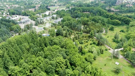 contrast between city and green vibrant park in georgia, aerial drone view