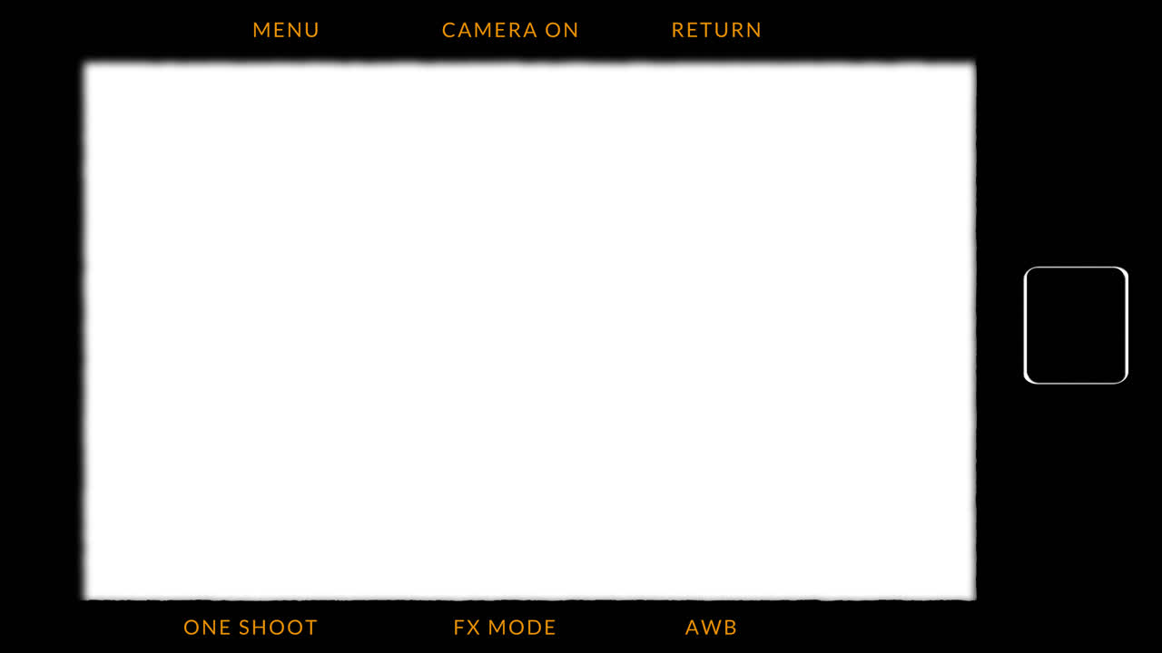 Digital Camera Interface with Blank Viewfinder and Menu Options