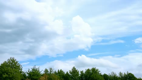 blue sky with white clouds and green trees