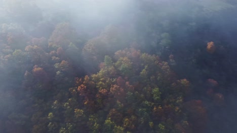 Niebla-Sobre-El-Colorido-Bosque-Otoñal-En-Huesca.