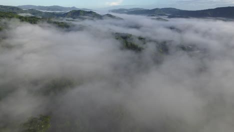 Top-Down-Flyover-Jungle-Treetops-Through-Cloud-Pan-Up-To-Blue-Sky,-Drone-Costa-Rica,-4K
