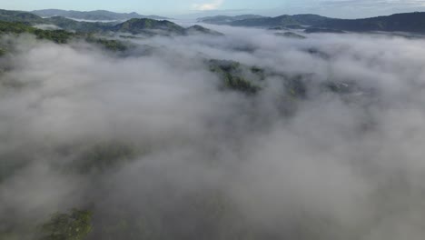 top down flyover jungle treetops through cloud pan up to blue sky, drone costa rica, 4k