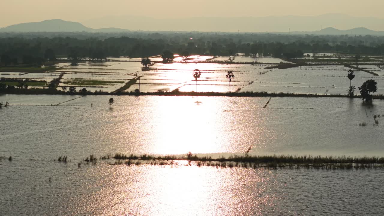 Flooded Rice Paddies at Sunset