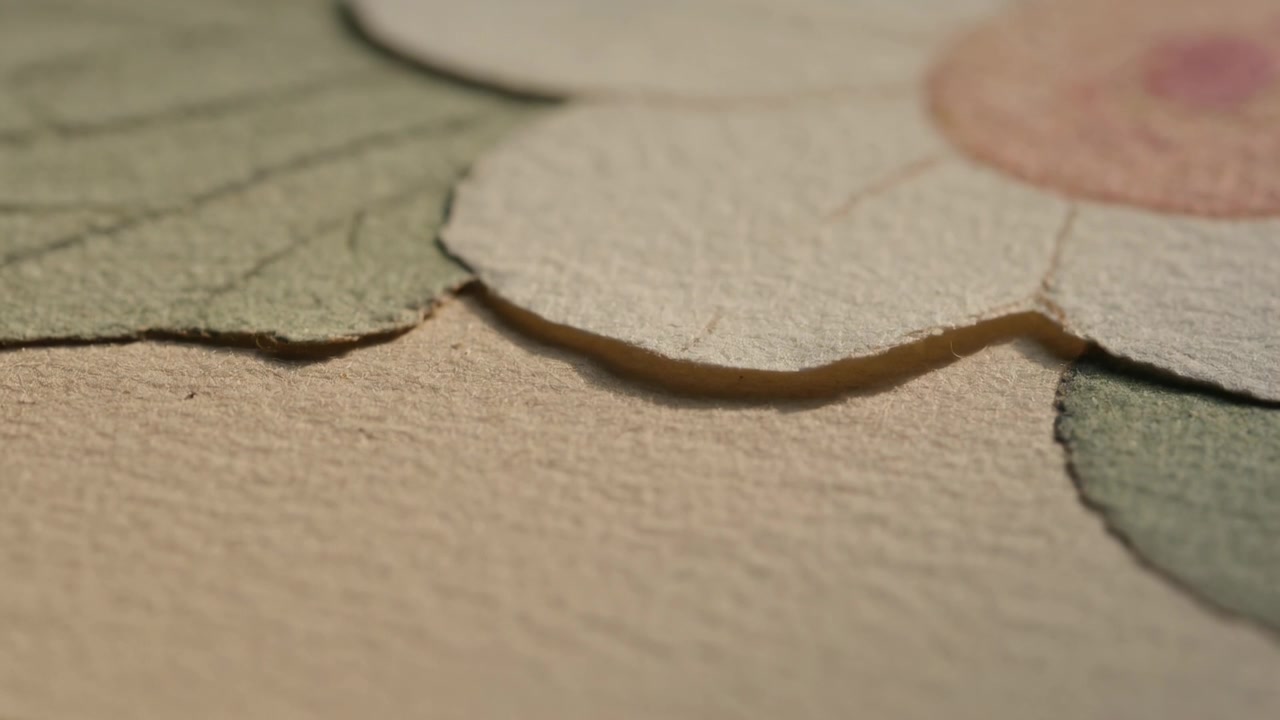 Tightening camera focus revealing pale-pink petal over green leaf on desk, showing fiber detail