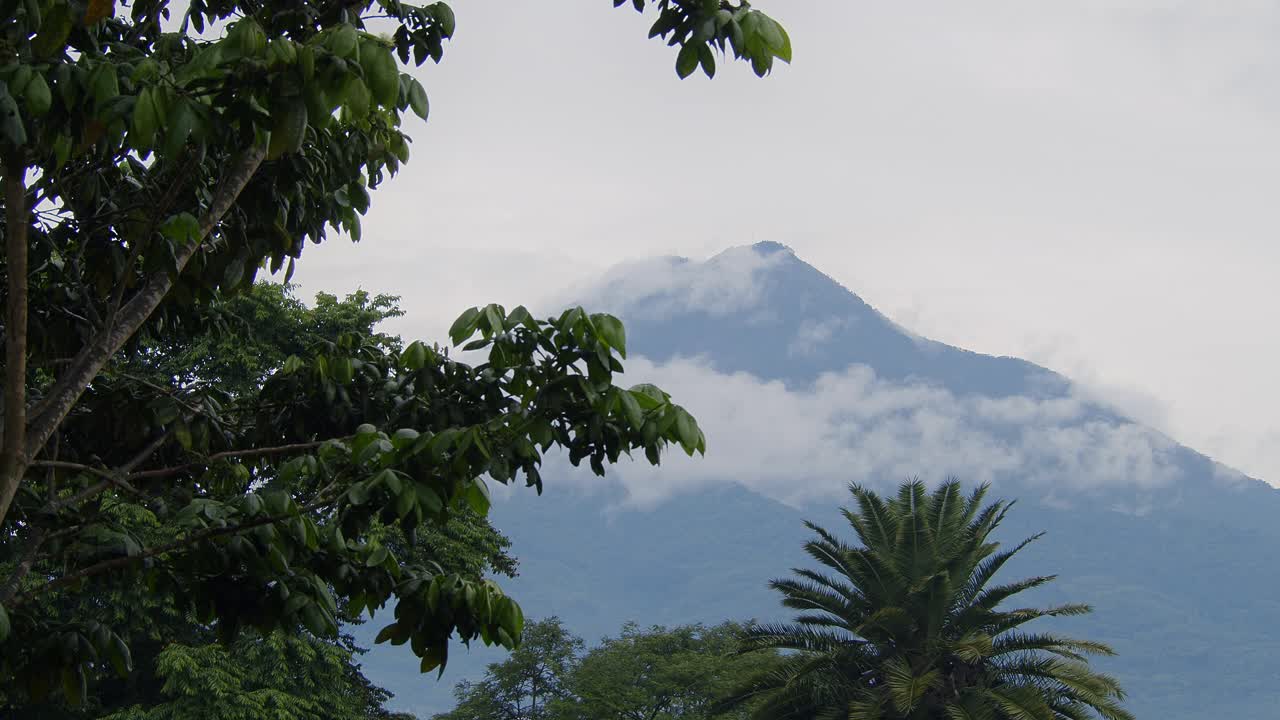 The majestic Acatenango Volcano stands tall in the background, framed by vibrant greenery