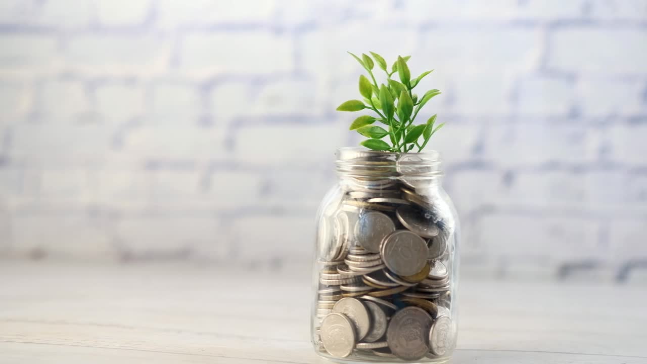 Saving Money Growth Concept