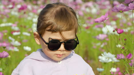 niña pequeña caminando por el campo de flores del cosmos sosteniendo un gofre y un retrato de flor