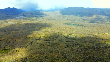 Bestaunen-Sie-Die-Einzigartige-Flora,-Die-Den-Páramo-Bedeckt,-Von-Leuchtenden-Moosen-Und-Flechten-Bis-Hin-Zu-Zarten-Orchideen-Und-Hoch-Aufragenden-Frailejones,-Die-Alle-Ein-Bild-Von-Unvergleichlicher-Natürlicher-Schönheit-Zeichnen