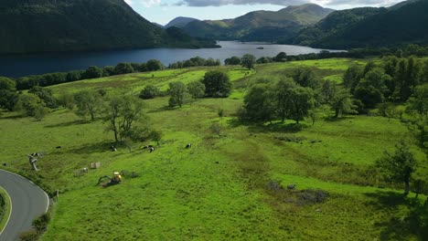 Dead-tree-in-lush-green-field-near-lake-surrounded-by-wooded-steep-mountains-on-bright-summer-day