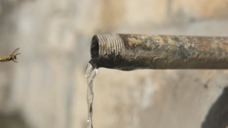 fountain drink water