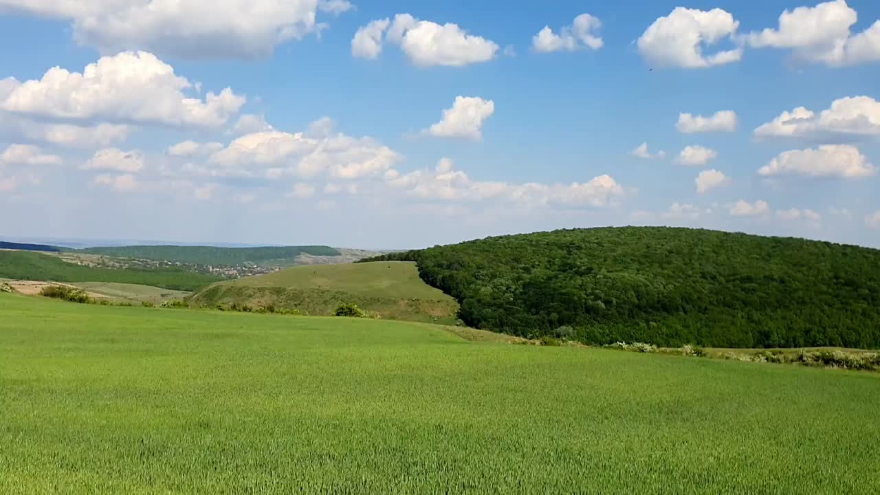 A Summer Day With Beautiful Nature Landscape In  Romania With Green Grass and Forrest And Nobody Around