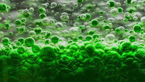 macro shot of many green bubbles setting on ground in water