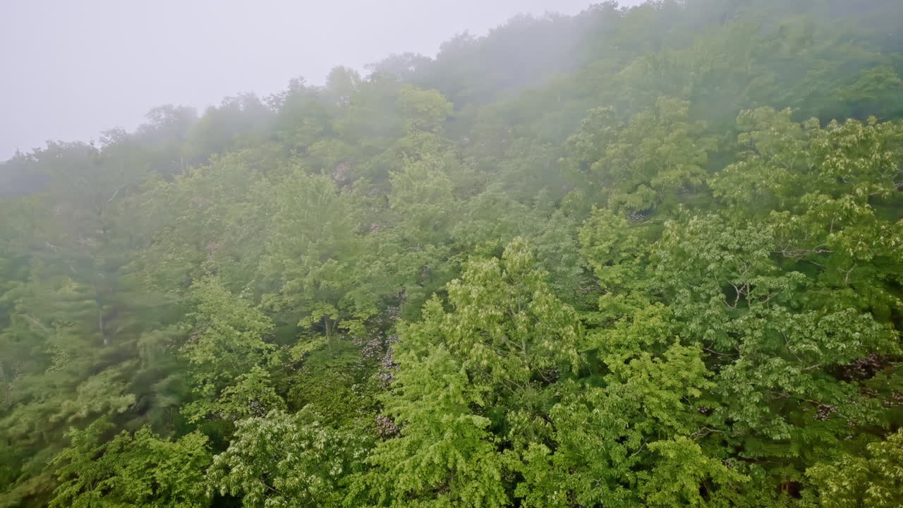 Aerial sweeping cinematic shot of mist-filled valleys