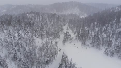 Ein-Traktor-Fährt-über-Eine-Schneebedeckte-Landstraße,-Die-Von-Dichten-Nadelbäumen-Gesäumt-Ist---Luftaufnahme-Einer-Drohne