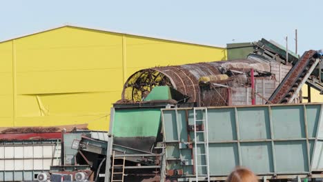 industrial wood recycling plant