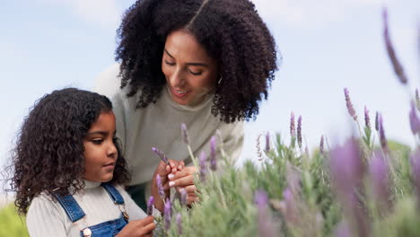 mother, child and lavender flowers in garden