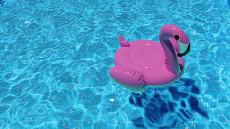 Inflatable pink flamingo swim loop floats in the pool in summer top view