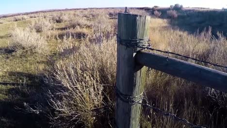 Barbed-wire-wooden-fence-with-a-grassy-field-in-the-country