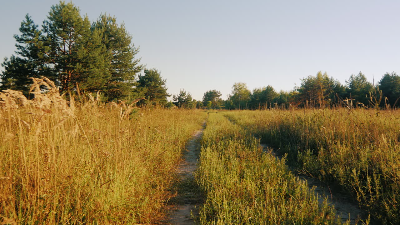 Uomini armati in mimetica che camminano lungo una strada di campagna, visti di spalle.