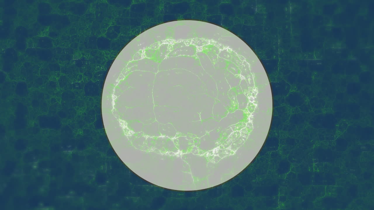 animación del cerebro digital sobre cuadrados y círculo blanco