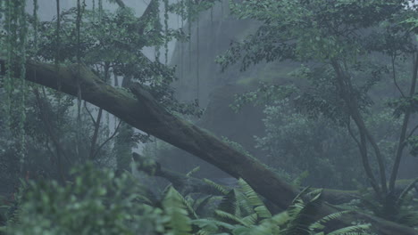 scene looking straight into a dense tropical rain forest