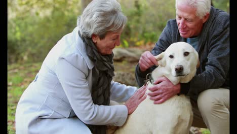 retired couple with their dog