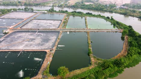 Aerial-view-of-shrimp-farmland-countryside