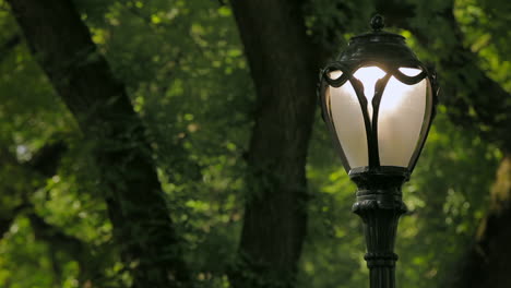 Old-fashion-vintage-light-night-time-in-park