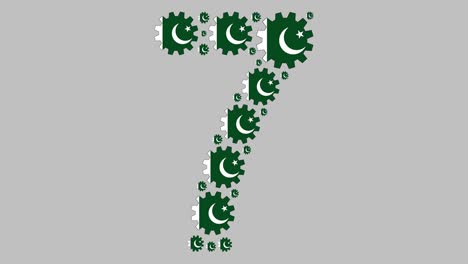 pakistani number seven