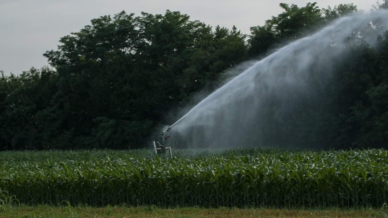 Irrigatore agricolo 4K 00