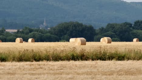 push-in shot of round hay bails freshly harvested