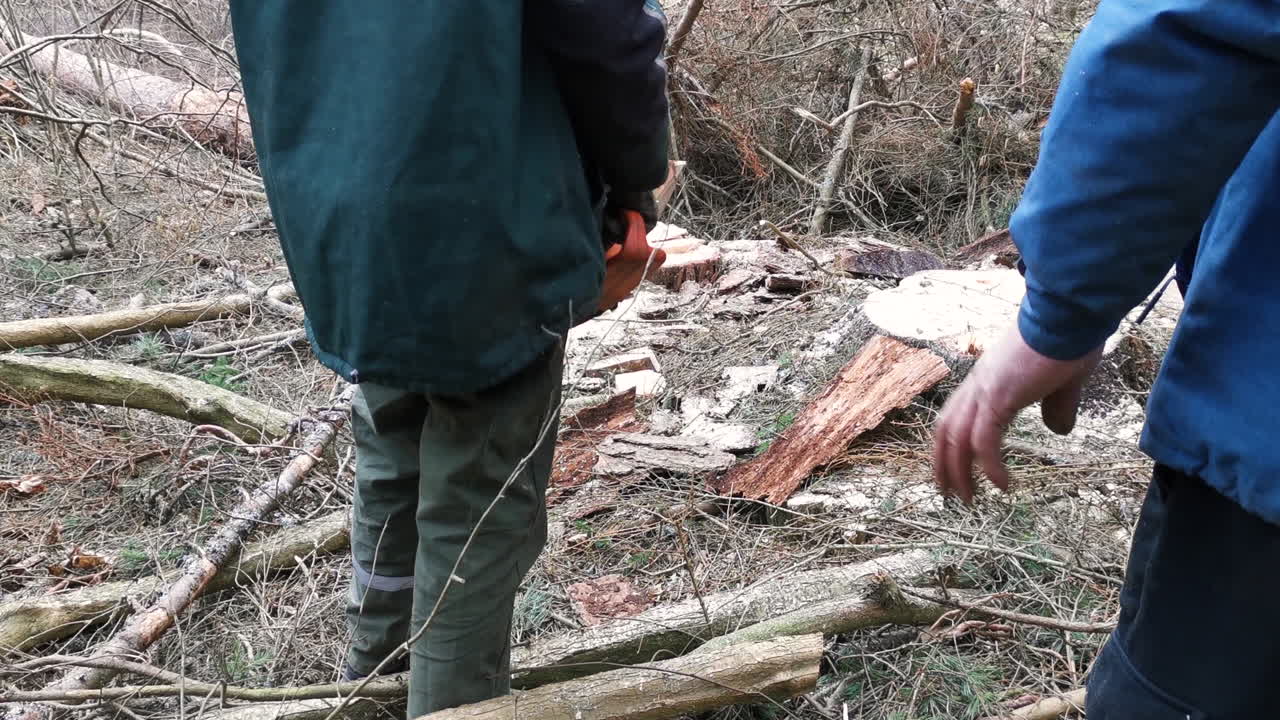 Due boscaioli che osservano un albero abbattuto cadere.