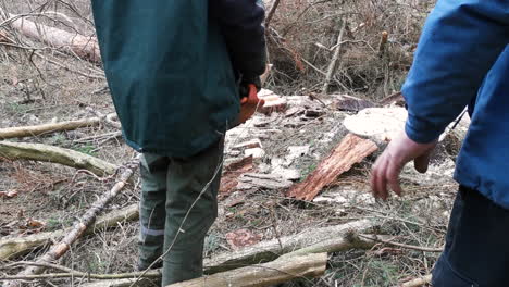 Zwei-Holzfäller-Beobachten-Gefällten-Baum-Fallen