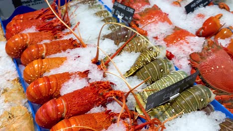 variety of seafood on ice at market